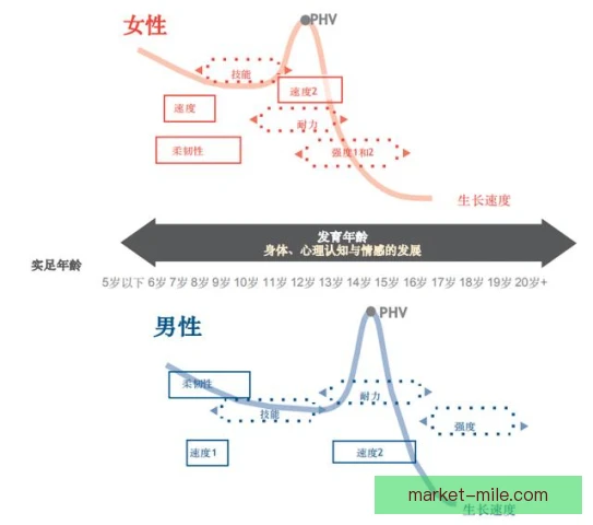 百米栏速度素质敏感期分析，青少年训练安排更科学